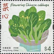 [Hong Kong Vegetables, type CKB]