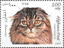 [Cats, type ANY]