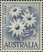 [Flowers, type FQ]