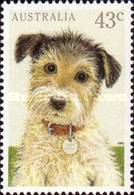 [House Pets, type APV]