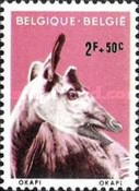 [Animals from Antwerp zoo, type ZN]