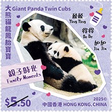 [Giant Panda Twin Cubs, type CQX]