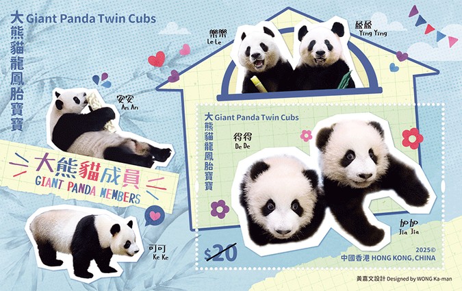 [Giant Panda Twin Cubs, type ]