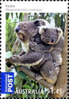 [Australian Bush Babies, type DFM]