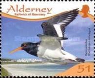 [Birds - Waders, type MO]
