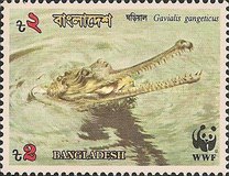 [Endangered Wildlife - Gharial, type JG]