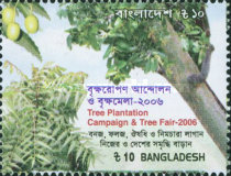 [Tree Plantation Campaign and Tree Fair, type AEE]