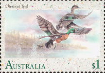 [Water Birds, type APE]