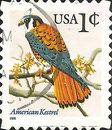 [Bird - American Kestrel, type DIF1]
