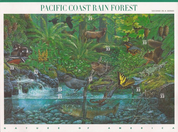 [Nature of America - Pacific Coast Rain Forest - Self-Adhesive, type ]