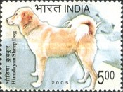 [Dog Breeds, type CGY]