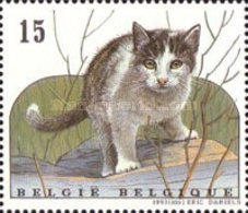 [European Cats, type BTV]