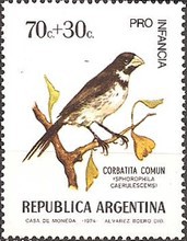 [Child Welfare - Birds, type AGK]