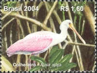 [Preservations of the Mangrove Swamps and Tidal Zones, type DWF]