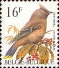 [Birds, type BUH]