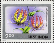 [Indian Flowers, type UA]