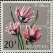 [Flowers, type XML]