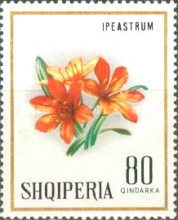 [Flowers, type AEU]