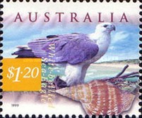 [Costal Animals & Seashells, type BGL]