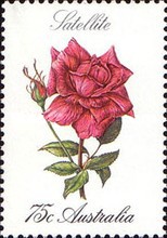 [Roses, type XD]