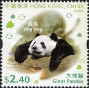 [First Public Presentation of the New Giant Pandas in Ocean Park, type AXU]