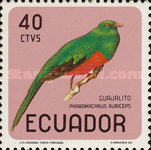 [Birds, type XRN]
