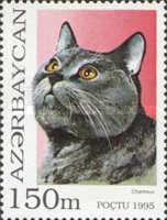[Cats, type GO]