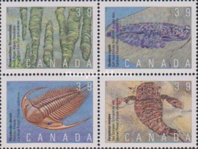 [Prehistoric Canada - Primitive Life, type ]