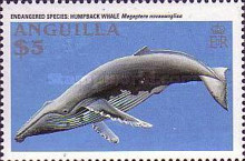 [Endangered Animals - Whales, type AKT]