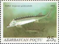 [Fish, type AP]