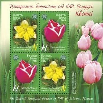 [Central Botanical Garden of NAS of Belarus - Flowers, type ]