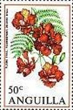 [Flowers of the Lesser Antilles, type BF]