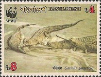 [Endangered Wildlife - Gharial, type JH]