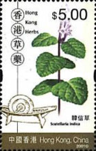 [Medicinal Herbs, type AEZ]