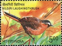 [Endangered Birds of India, type CKH]