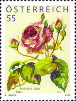 [Flora - Roses, type CVE]