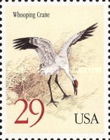 [Birds - Black-necked Crane and Whooping Crane, type CIR]