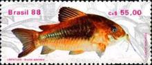 [Freshwater Fish, type CHM]
