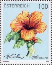 [Flowers - Hibiscus, type EGV]