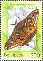[Butterflies, type SR]