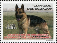 [Dog Show, type DGP]