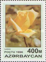 [Roses, type IY]