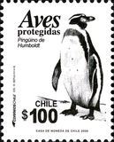 [Fauna - Birds, type CAW]