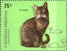 [Domestic Felines, type CYM]