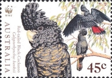 [World Wildlife Fund - Birds, type BDY]