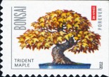 [Bonsai Trees - Self-Adhesive Stamps, type FYP]
