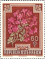 [Flowers - Charity Stamps, type OP]