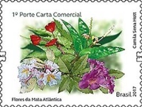 [Flowers of the Atlanttic Forest, type FFB]