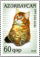 [Domestic Cats, type ACG]