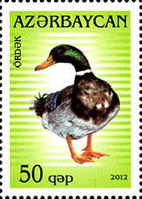 [Fauna - Birds, type AHD]